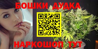 не бодяженный Сланцы