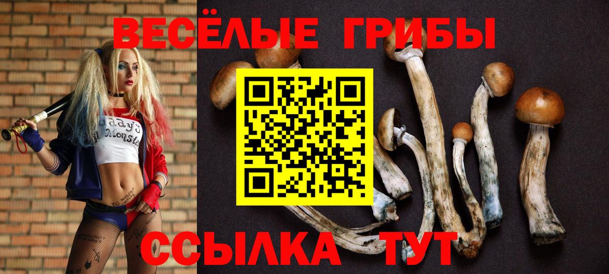 Галлюциногенные грибы прущие грибы  Псилоцибиновые грибы Cubensis  Печора  Вход с VPN 