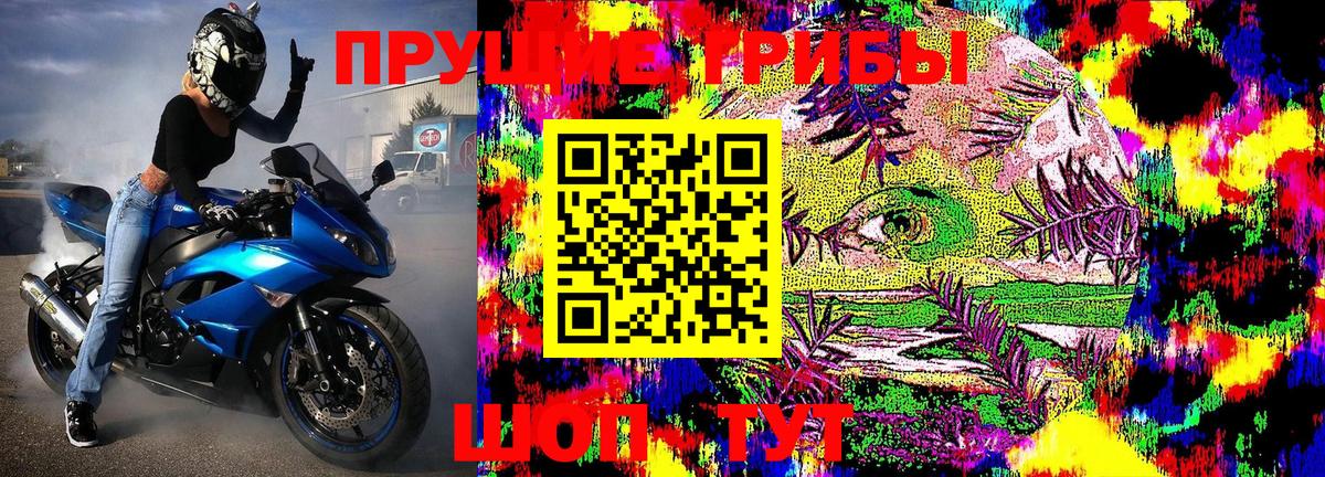 Галлюциногенные грибы Magic Shrooms Печора